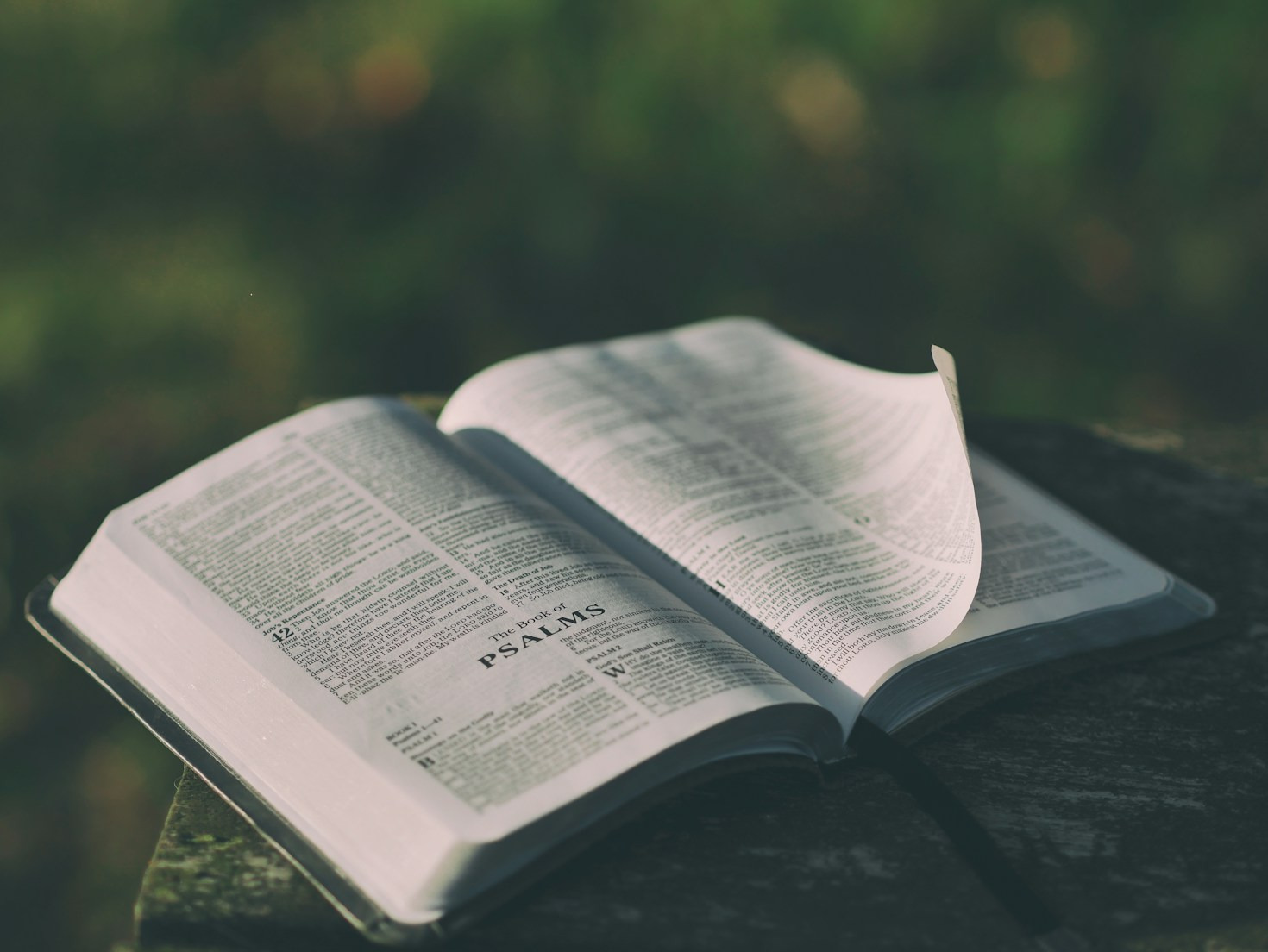 The Role of Scripture in Transforming Lives